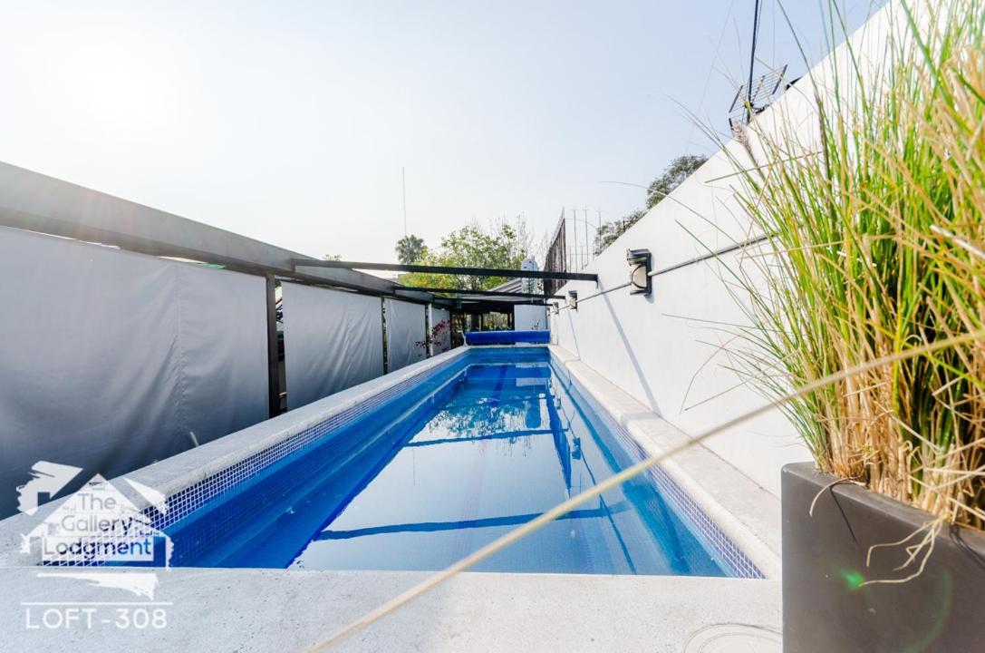 Gallery Lodgment Mexico City Exterior photo